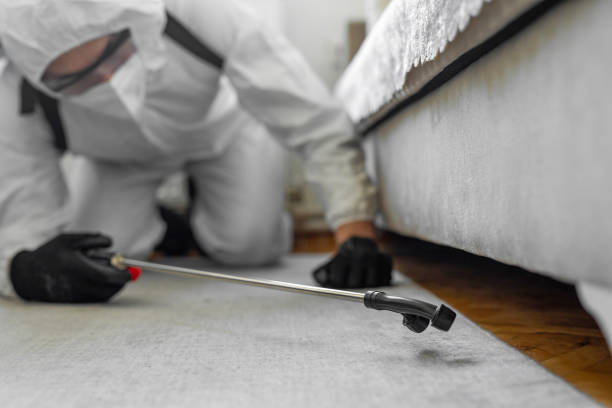 Professional Bed Bug Control technician working in The Woodlands, TX
