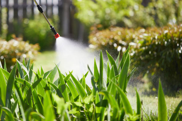 24/7 Emergency Bed Bug Control experts in The Woodlands, TX