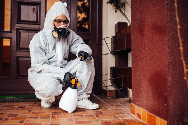 Reliable Bed Bug Control contractor in The Woodlands, TX by Nex Pest Control