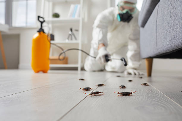 Trusted Bed Bug Control service in The Woodlands, TX - Nex Pest Control