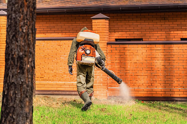 Trusted Mosquito Control service in The Woodlands, TX - Nex Pest Control